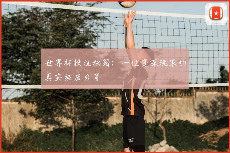 世界杯投注秘籍：一位资深玩家的真实经历分享