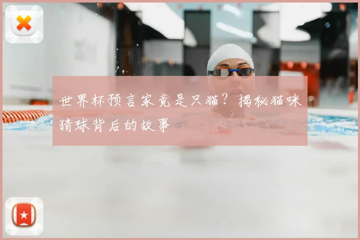 世界杯预言家竟是只猫？揭秘猫咪猜球背后的故事