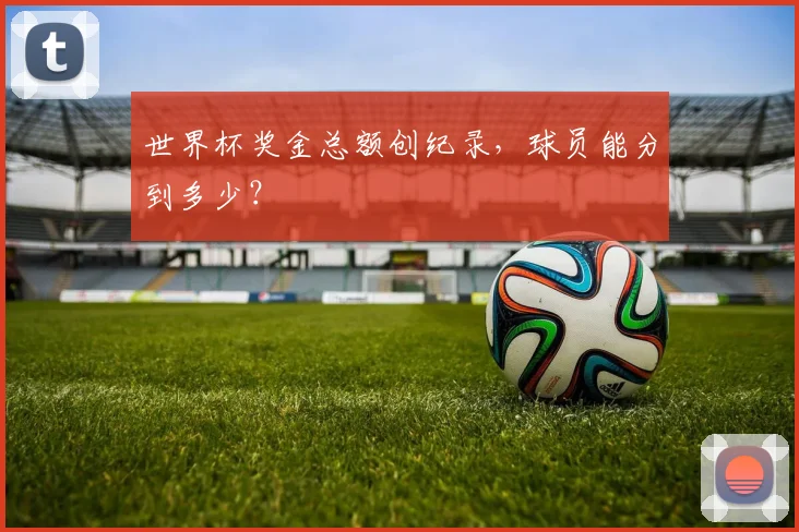 世界杯奖金总额创纪录，球员能分到多少？