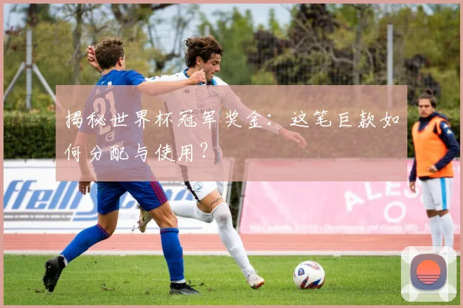 揭秘世界杯冠军奖金:这笔巨款如何分配与使用?