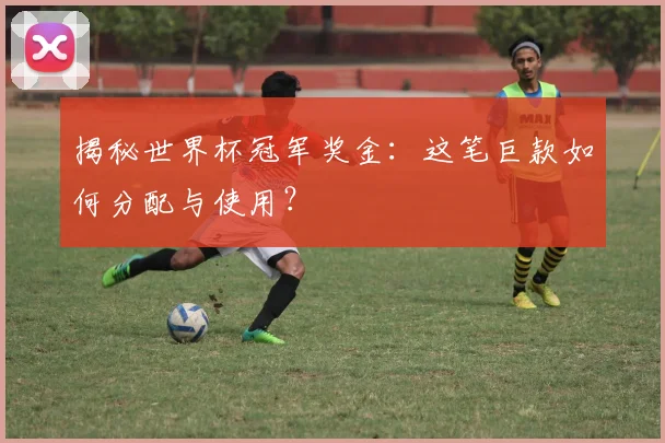 揭秘世界杯冠军奖金：这笔巨款如何分配与使用？