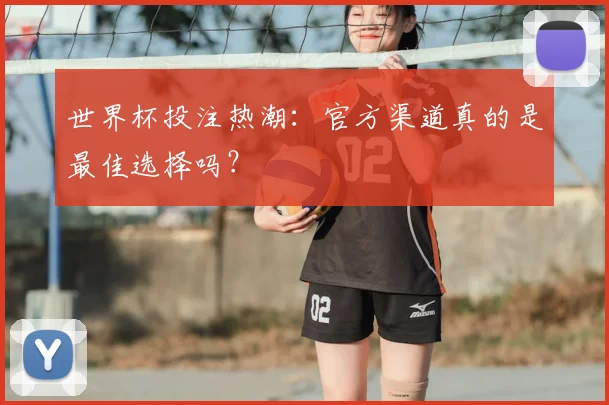 世界杯投注热潮：官方渠道真的是最佳选择吗？