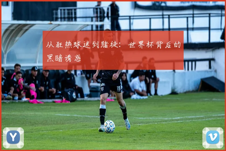 从狂热球迷到赌徒：世界杯背后的黑暗诱惑