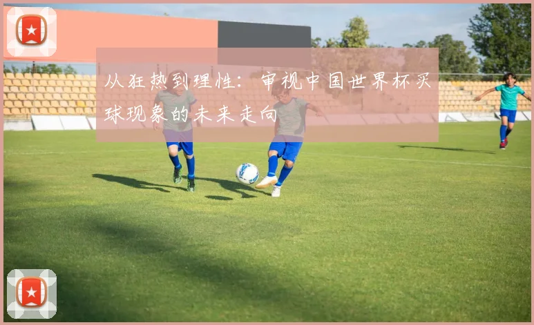 从狂热到理性：审视中国世界杯买球现象的未来走向